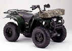 bigbear4x499.jpg (7693 bytes)